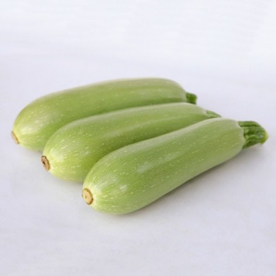 Sirio F1 - насіння кабачка, 500 cем., Cora Seeds